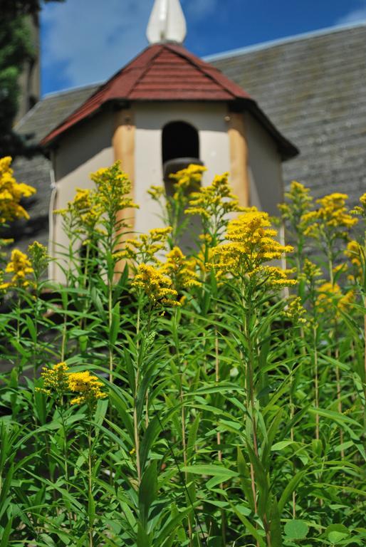 Camping Les Tournesols Sille-le-Guillaume Экстерьер фото