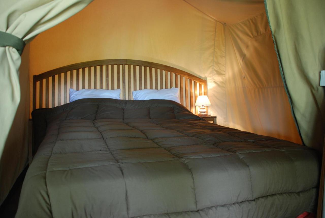 Camping Les Tournesols Sille-le-Guillaume Экстерьер фото